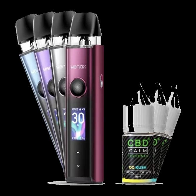 Geek Bar CBD Terpenes Vape Pack with GeekVape Wenax Q