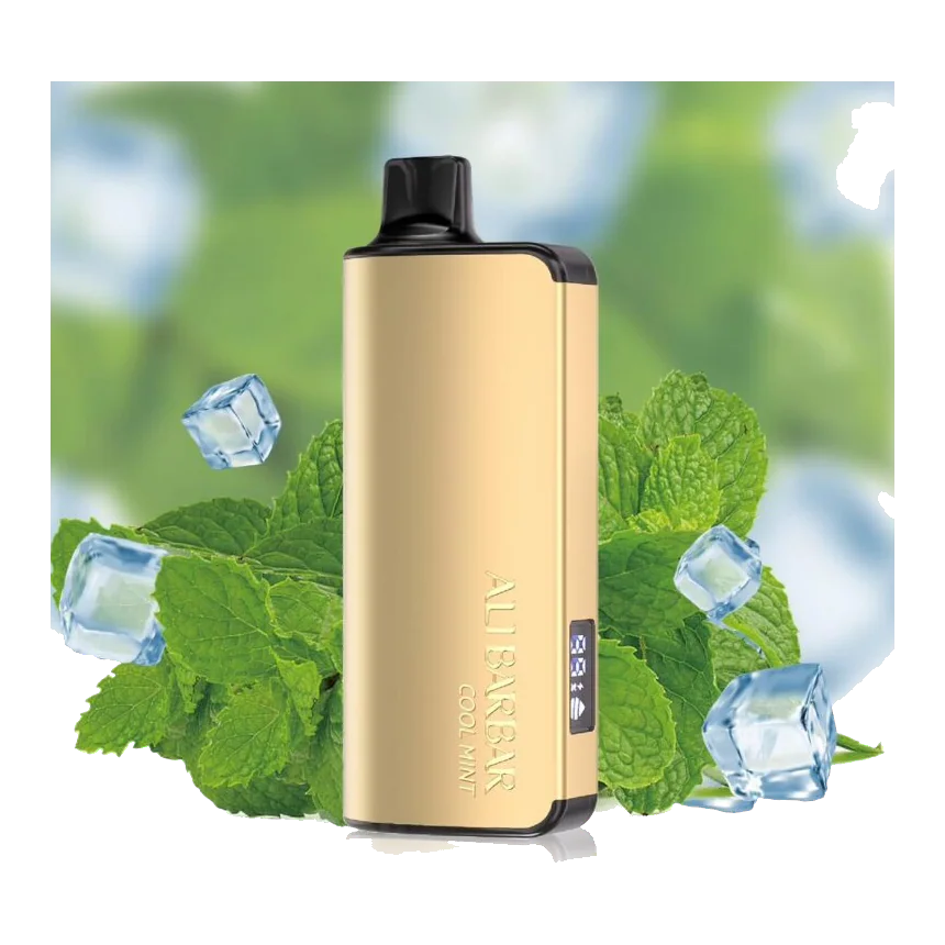 Alibarbar Alibarbar Ingot 9000 Puff - Cool Mint
