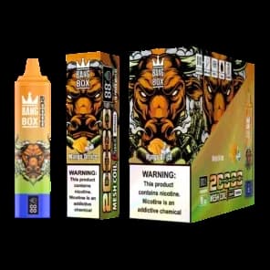 Bulk Buy BangBox 20000 Puffs - 10 Packs